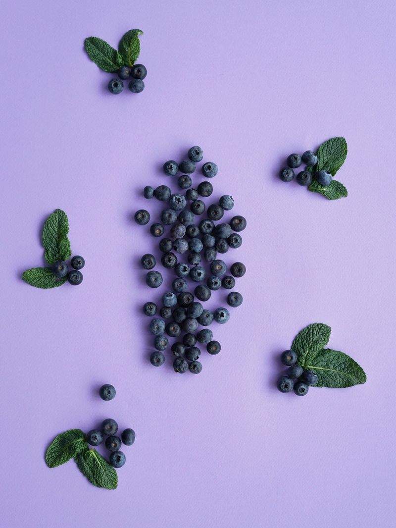 Comment bien conserver vos fruits pour préserver leur fraîcheur